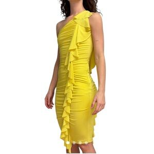 Cache, Rushed Ruffles One Shoulder Cocktail Dress,